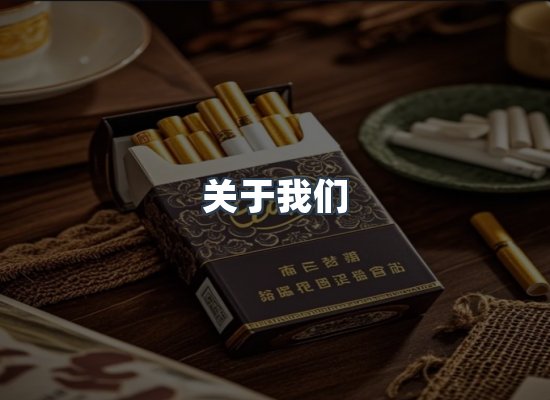 关于我们
